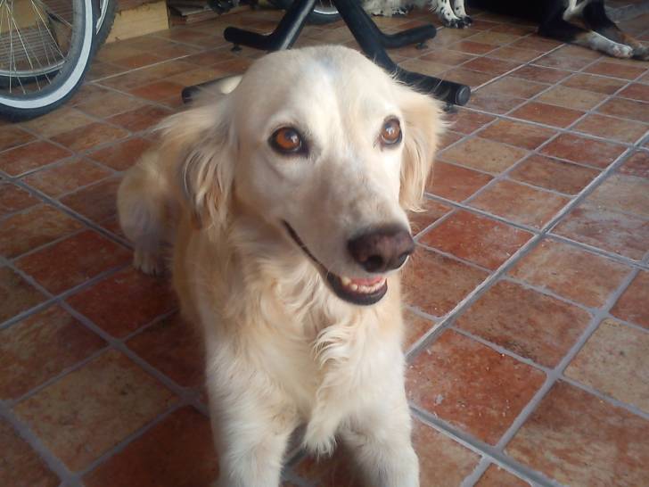 Bony - (4 ans)