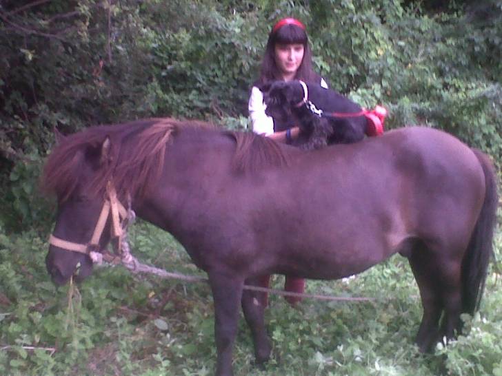 mika montando en tornado - Mâle (7 ans)