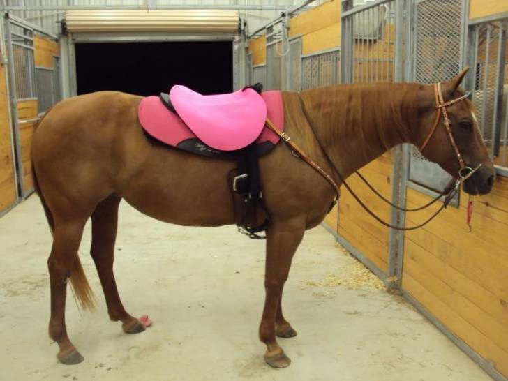 Daisy - (6 ans)