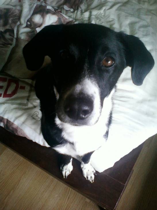 Katanka - (7 ans)