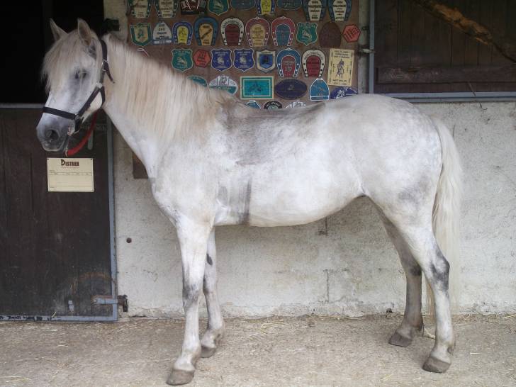 Kaya après un cour - (15 ans)