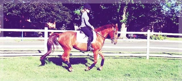 Tenessee Red - (12 ans)