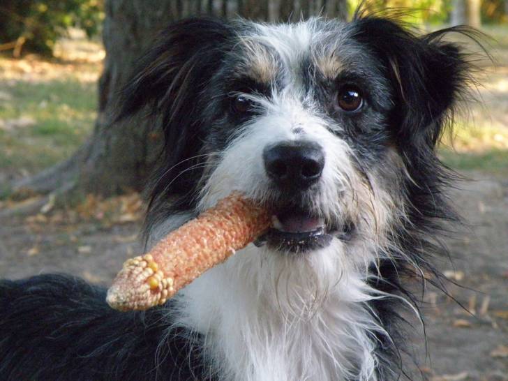 Doudoune - (2 ans)