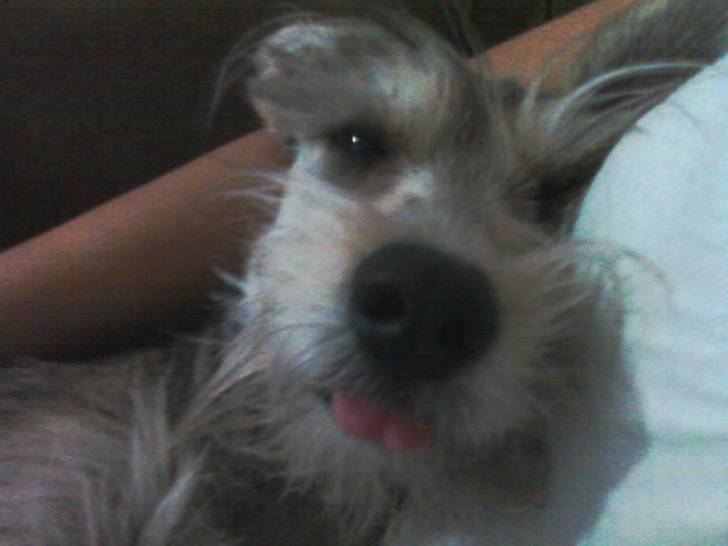 Dulce -