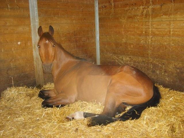 Derby - (17 ans)
