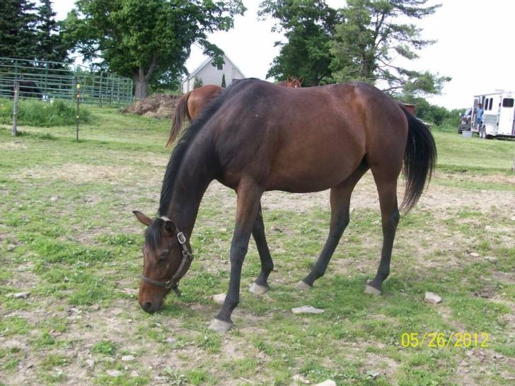 Jasmine - (15 ans)