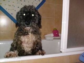 lilo - (2 ans)