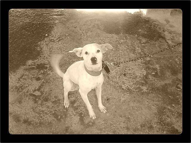 Neniita - (6 mois)