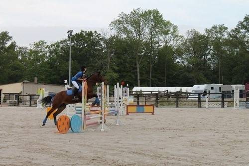 Oliver - Mâle (18 ans)
