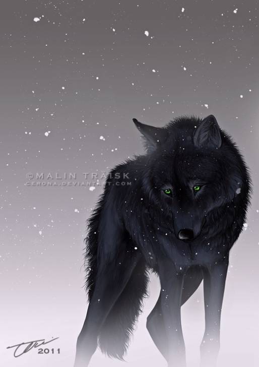 Eclispe - (3 ans)