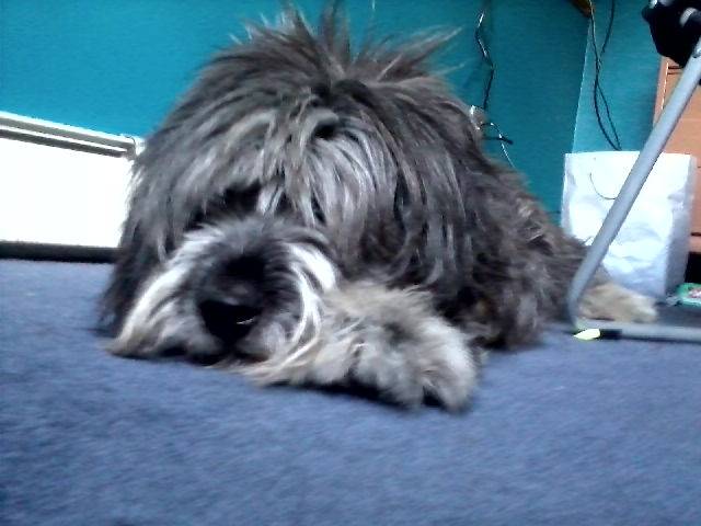 Luna - (3 ans)