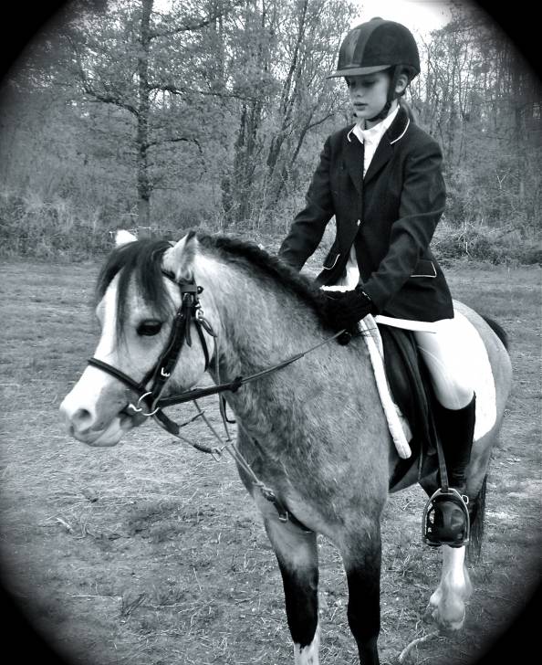 tiberly des bertaines - Mâle (5 ans)