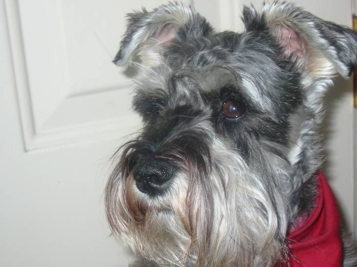 Lily - (3 ans)