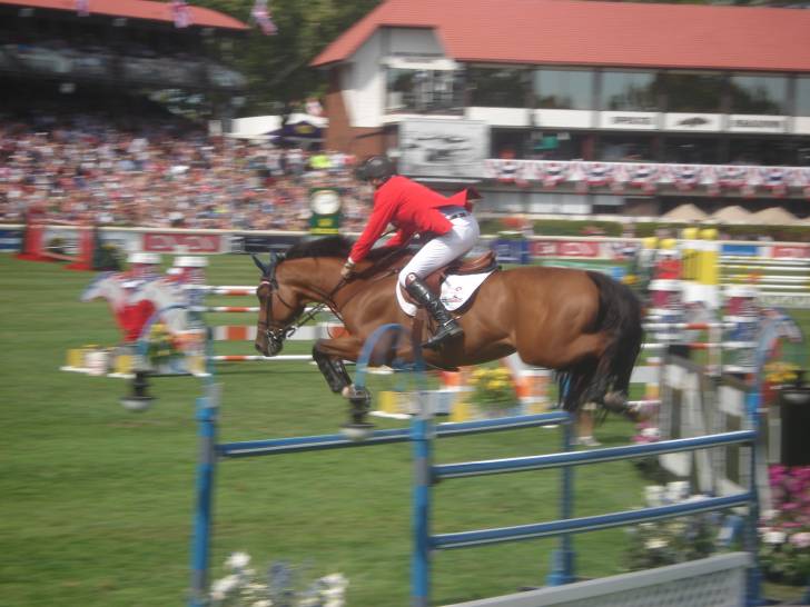 hicktead - (Autre)