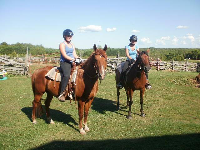 Lady & Zipper - (3 ans)