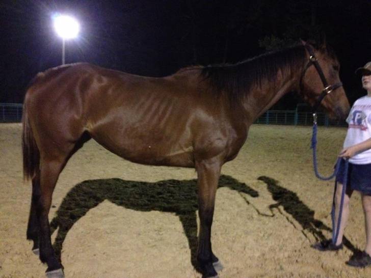 Msry Zig (Mary) - (5 ans)