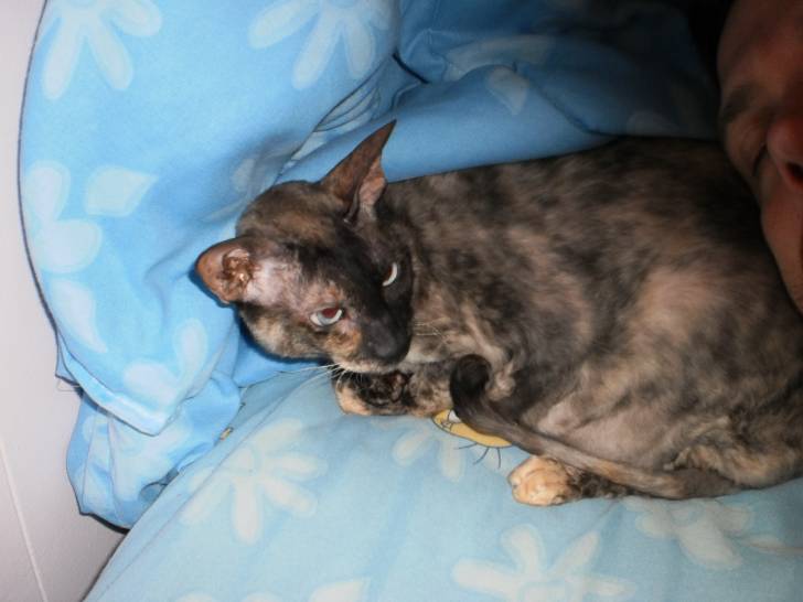 Nefer-titi - (2 ans)
