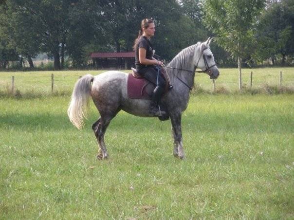 naryma -