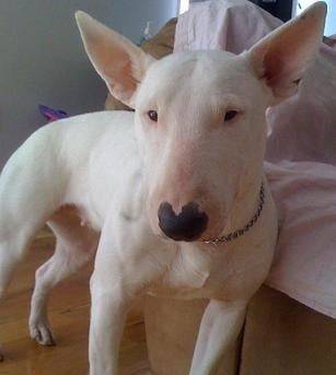 Athena - (3 ans)