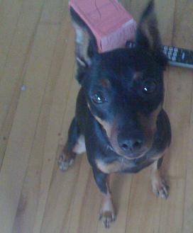 Freya - (3 ans)