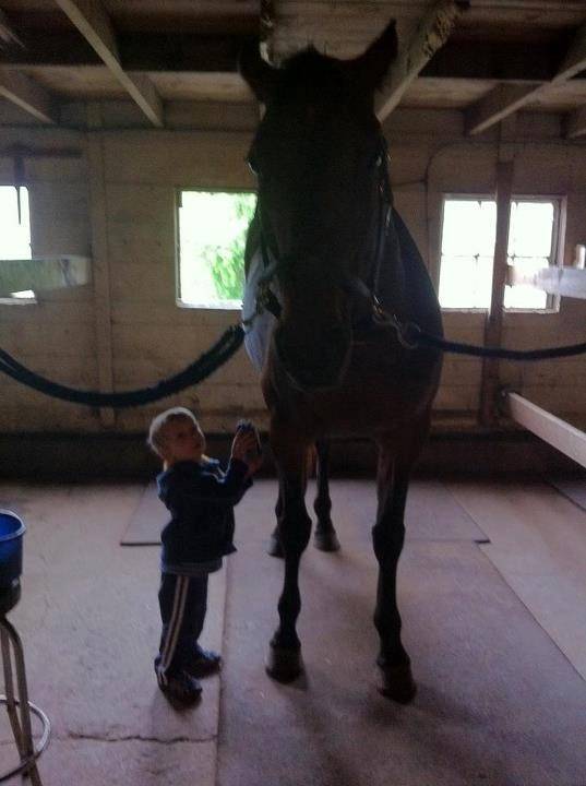 Raymond - Mâle (8 ans)