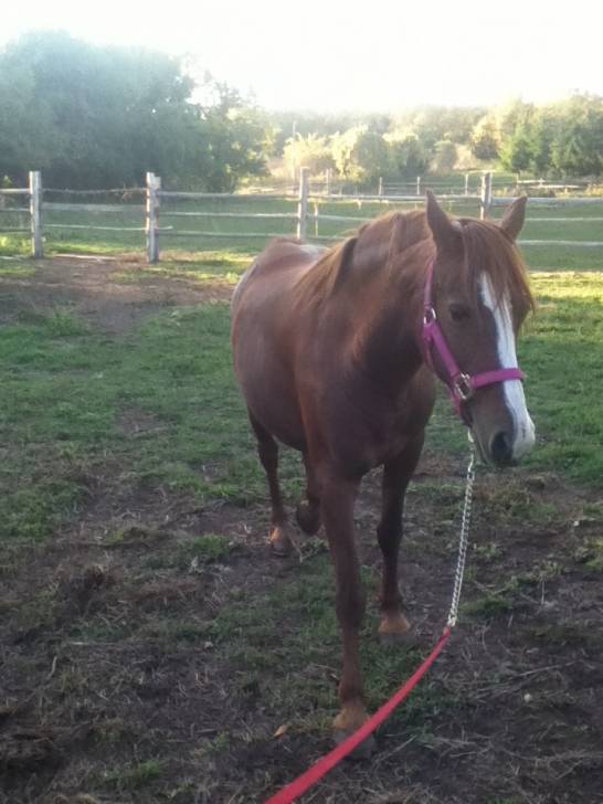 Tori - (8 ans)