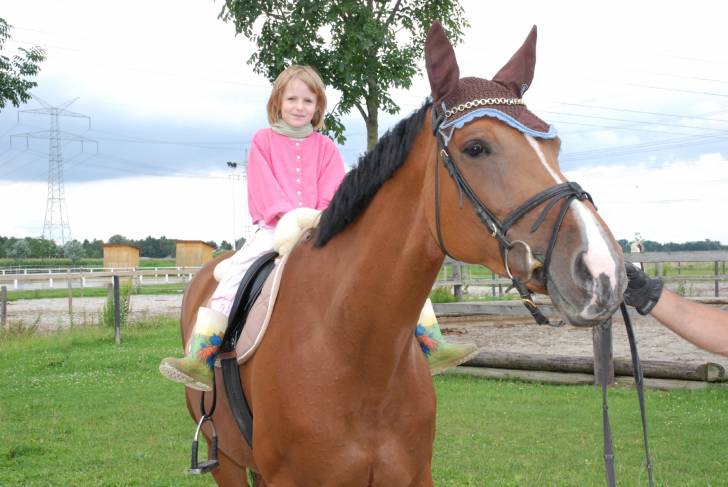 Ladona - Mâle (15 ans)