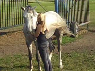 Quiet relaxe und Ich - Mâle (5 ans)