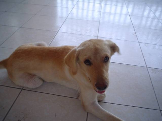 Larissa - (7 mois)