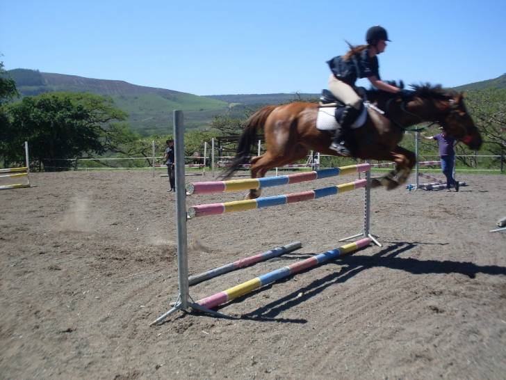 Aggadia - Mâle (5 ans)