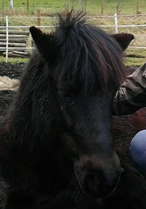 Cindy - (14 ans)