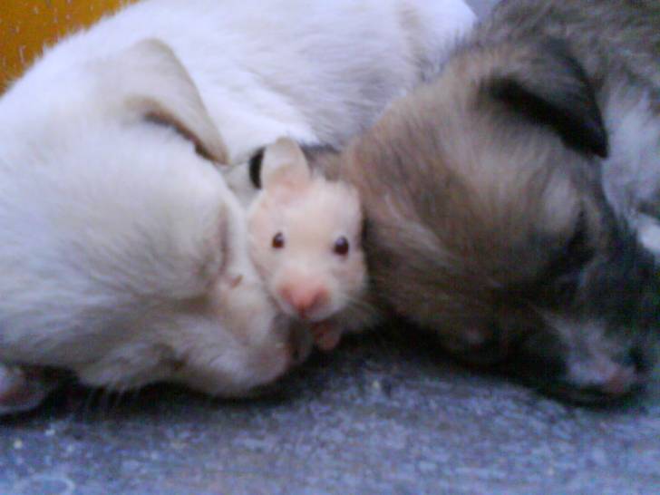 Maxi y Luna - (4 mois)