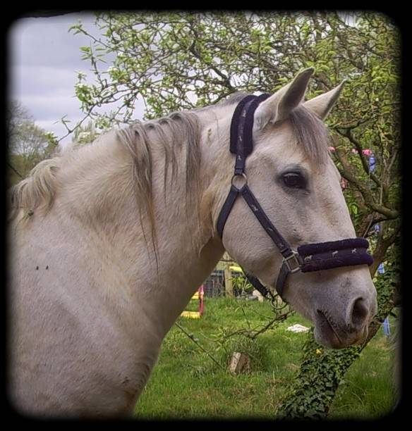 Pablita - (16 ans)