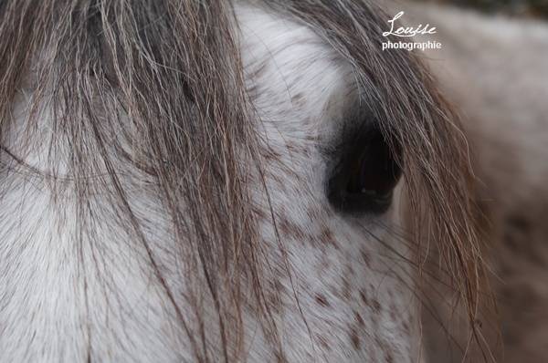 Timoun - (5 ans)