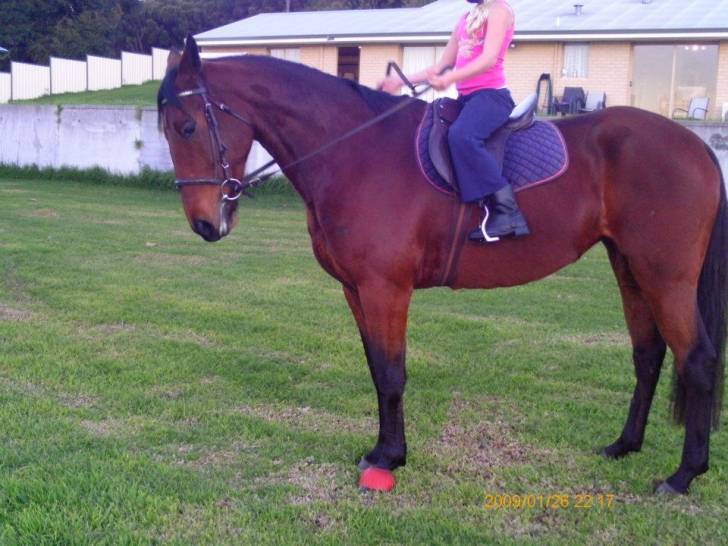 davacious - (9 ans)