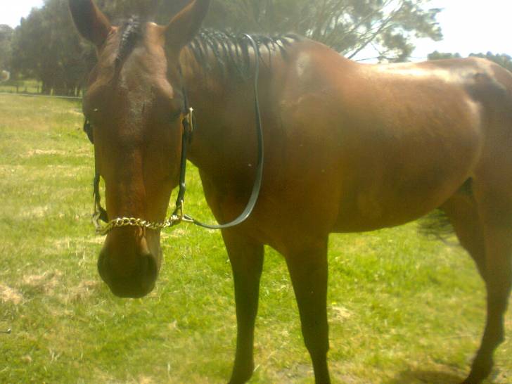 davacious - (9 ans)