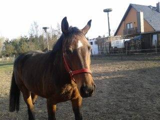 Lyn - (8 ans)