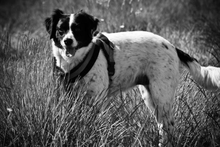 Ronja Räubertochter - (9 ans)