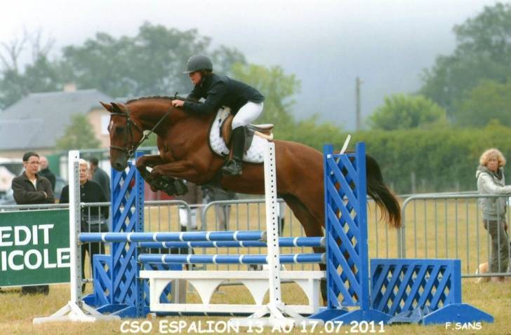 Thao - Mâle (5 ans)
