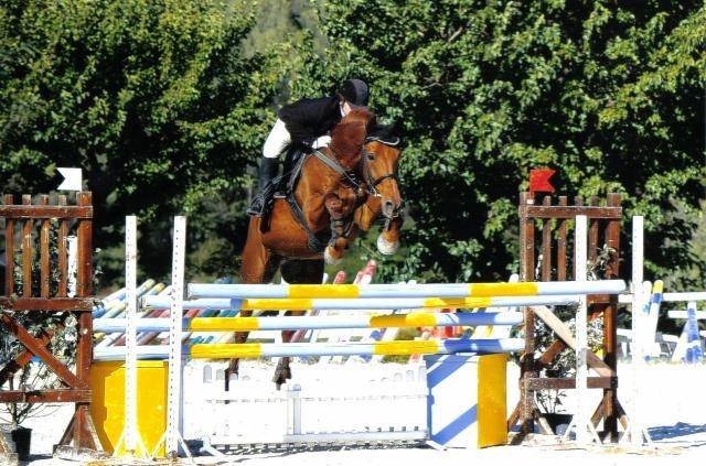 Vulcan - Mâle (24 ans)
