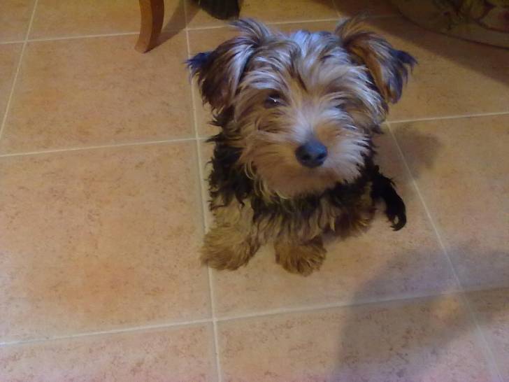 kika - (2 ans)