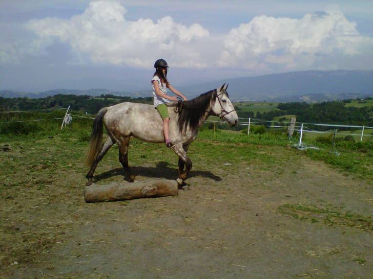 Cyclone - Mâle (9 ans)
