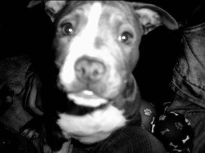 Betty - (4 ans)