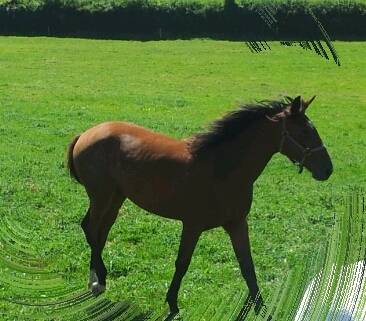 Babel de la Tour - (2 ans)