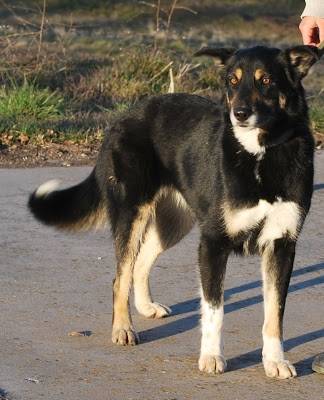 Monsita - (2 ans)