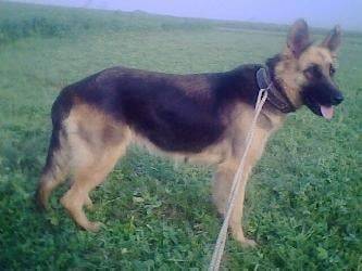 Arianne - (2 ans)
