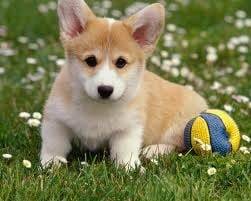 Cutie! -