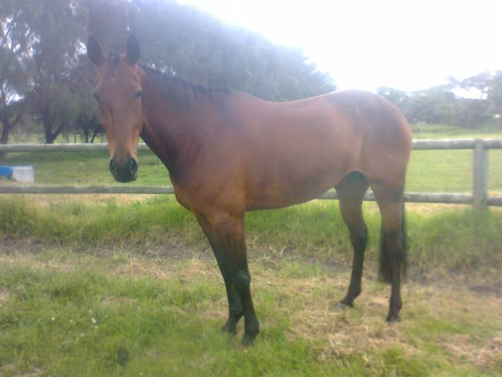Davacious - (9 ans)