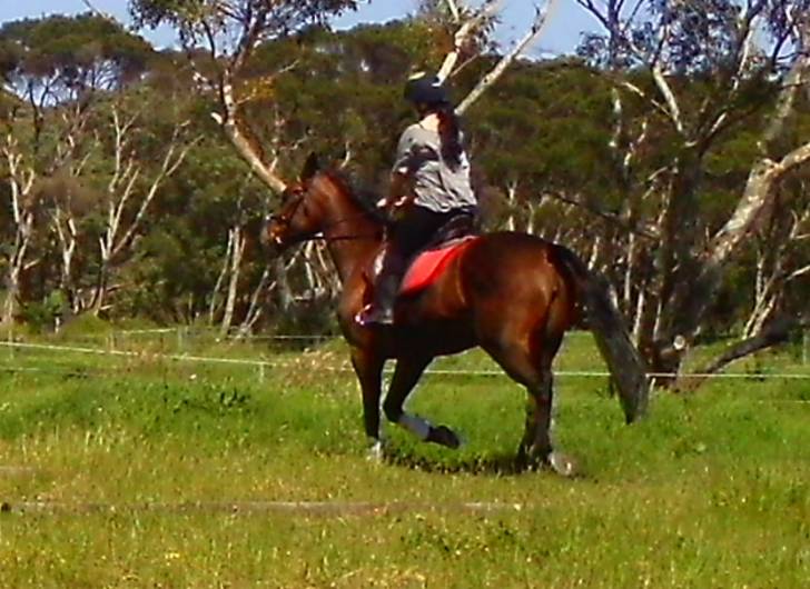 Davacious - (9 ans)