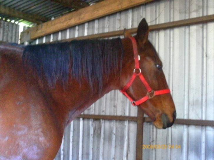 Davacious - (9 ans)